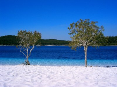 fraser island2