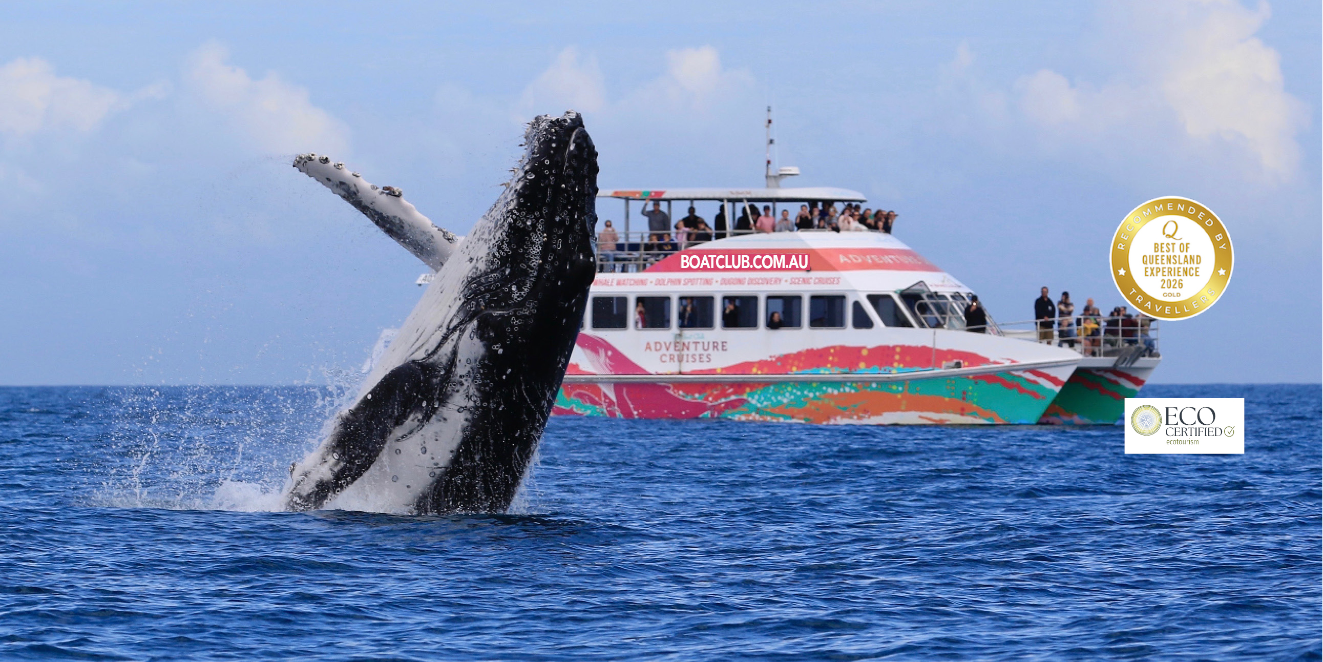 AMAROO + WHALE BREACHING 2026 WEB2
