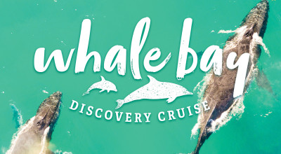 Whale Search Rezdy cover